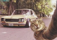 /album/peugeot-talla-peugeot-dily-207-308-sklo-606122111/kocka-peugeot-x-jpg/